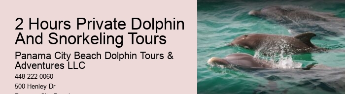 What Are The Negative Side Of Dolphins