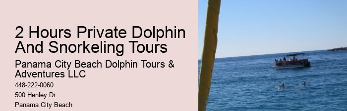 Panama City Dolphin