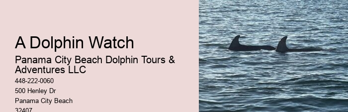 Behind The Smiles: The Suffering Endured By Captive Dolphins