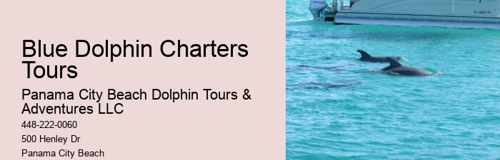 Catamaran Dolphin Tour Panama City Beach