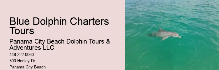 Split Private Charters For Dolphin And Snorkeling