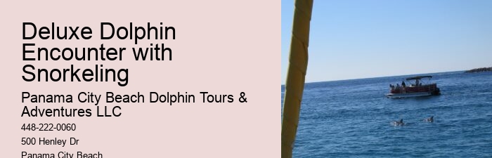 Split Customized Dolphin And Snorkeling Itineraries