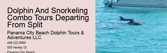 Panama City Beach dolphin discovery excursions