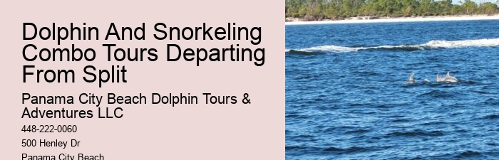 Panama City Beach Dolphin Adventure Trips