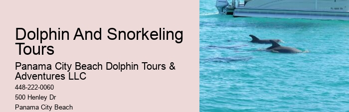 Are there any specific clothing recommendations for the dolphin tour