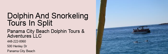 Dolphin Tours Rosemary Beach