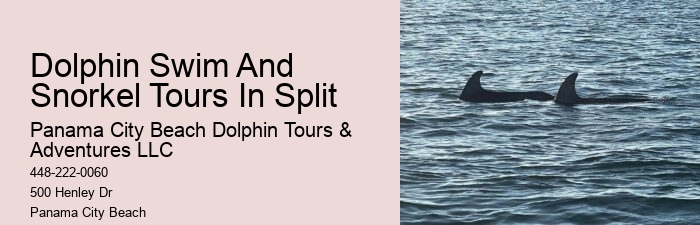What safety measures are in place during dolphin tours in Panama City Beach