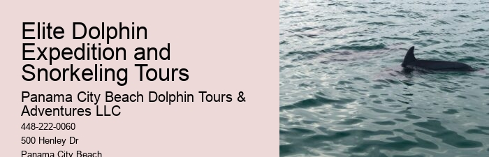Dolphin Tours Near Me Panama City Beach