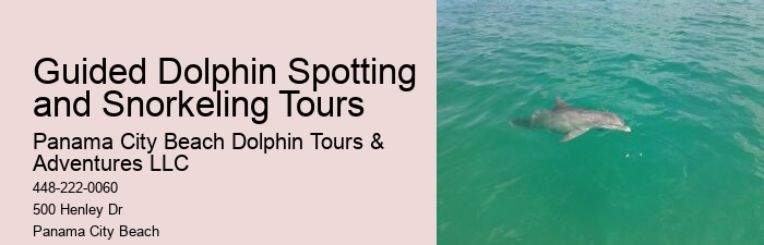 Split Dolphin Spotting And Snorkel Trips