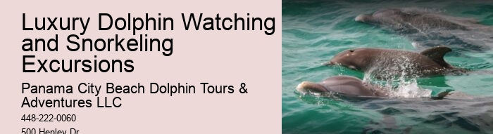 Screamer Boat Tours