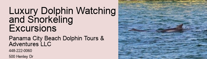 Split Marine Tours With Dolphin Encounters