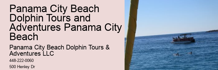 Dolphin Tours Rehoboth Beach