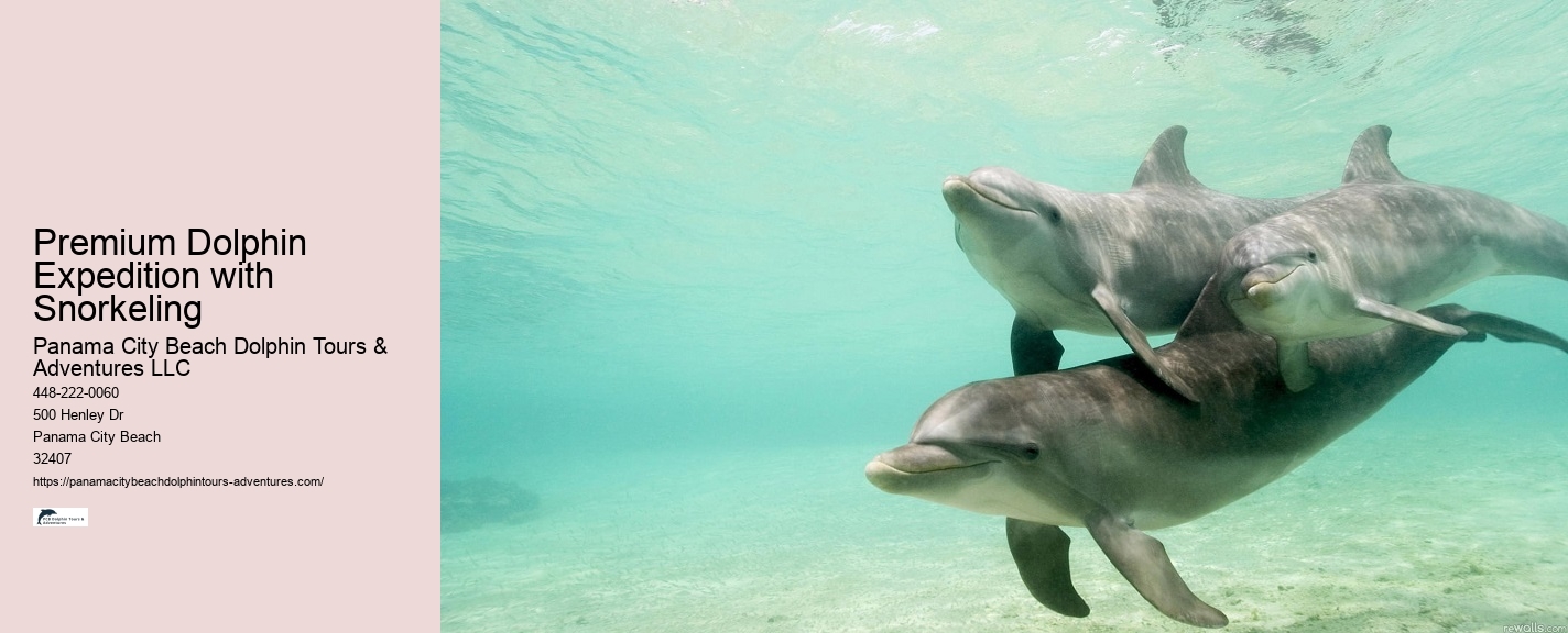 What Does It Mean If A Dolphin Is Circling You