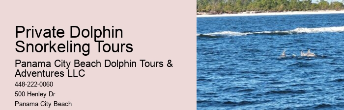 Panama City Beach Florida Boat Tours