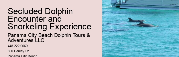 Charter Dolphin And Snorkeling Tours