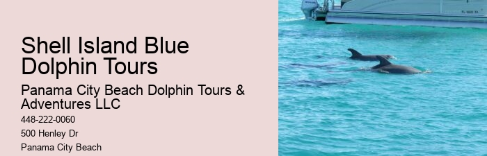 Panama City Dolphin Seafari Tours Panama City Beach Fl