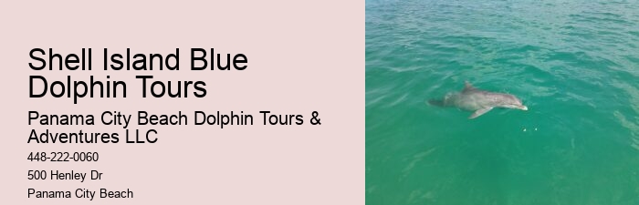 Dolphin And Snorkeling