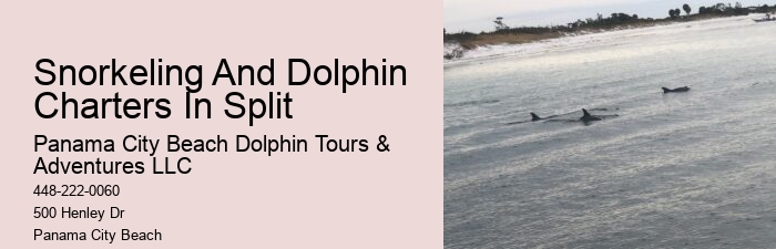 Panama City Beach wildlife tours including dolphins