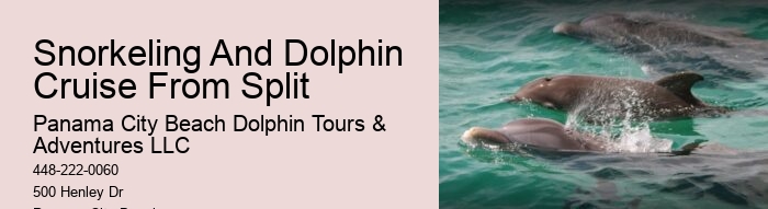 Come Swim With The Dolphins