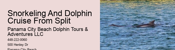 Dolphin Tours Queenstown