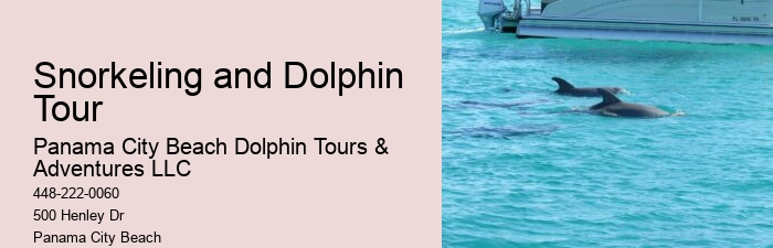 Do Male Dolphins Force Females To Mate