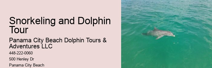 Dolphin tours at Panama City Beach
