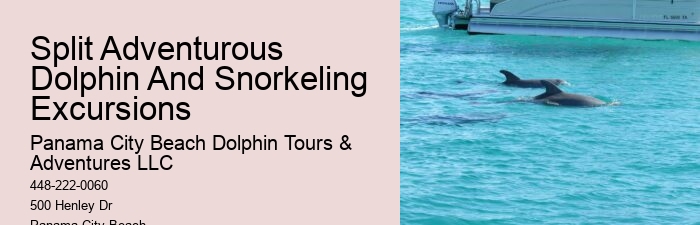 Dolphin And Snorkeling Tours In Panama City Beach