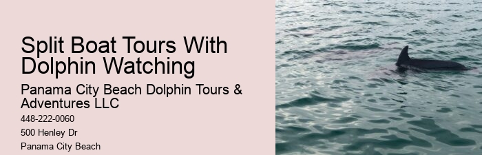 Jet ski rentals