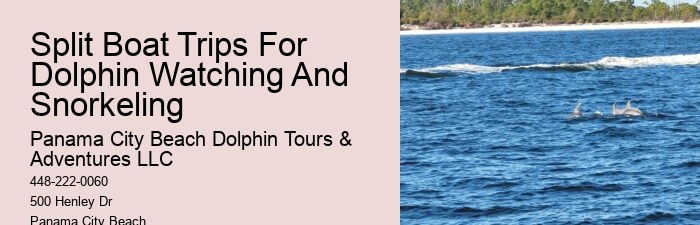 Frequently Asked Questions About Shell Island In Panama City Beach