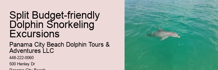 Why Do Dolphins Swim In Front Of Cruise Ships