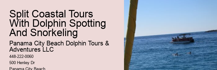 PCB Dolphin Viewing Tours