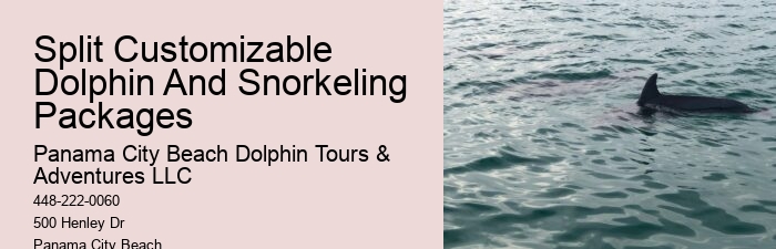 Split Private Luxury Dolphin And Snorkeling Tours