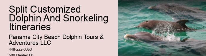 Can I interact with other marine animals besides dolphins on the tour