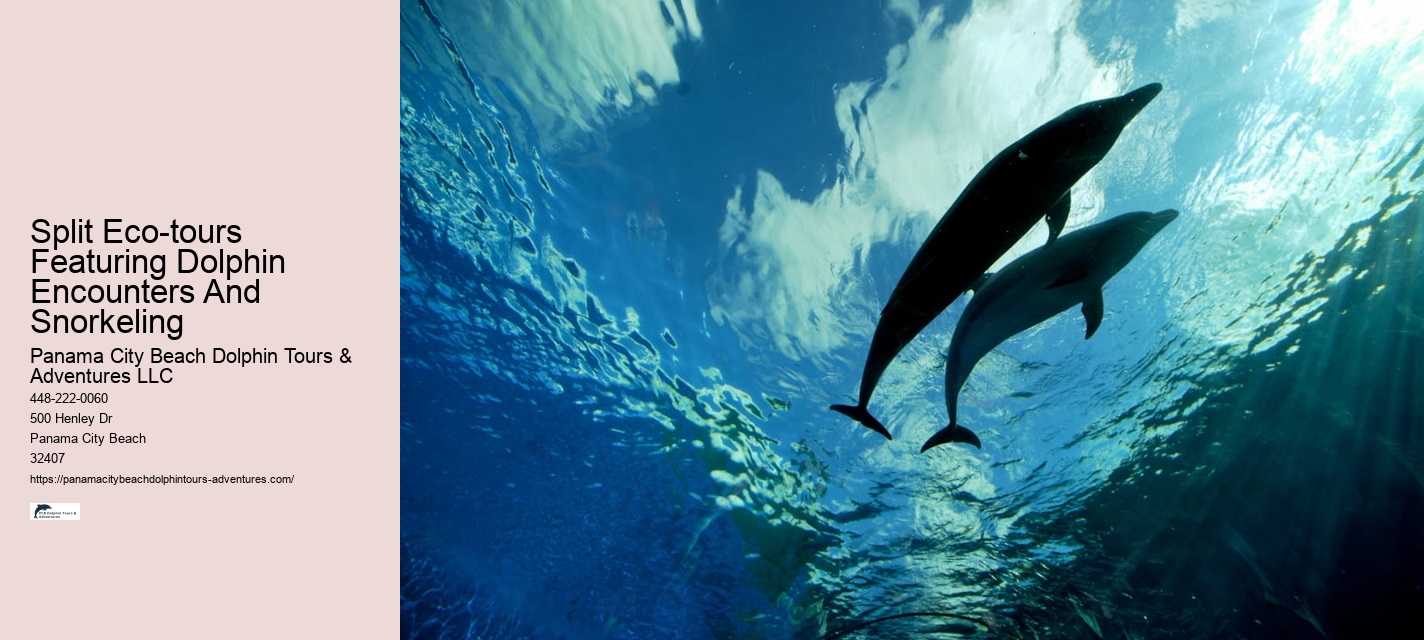 Boat Tours Panama City Beach