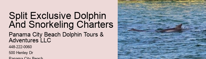 Palm Beach Dolphin Tours