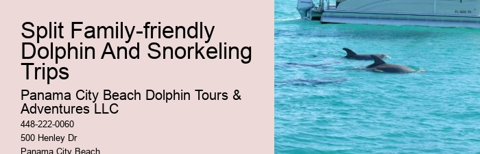 PCB Dolphin Spotting Tours