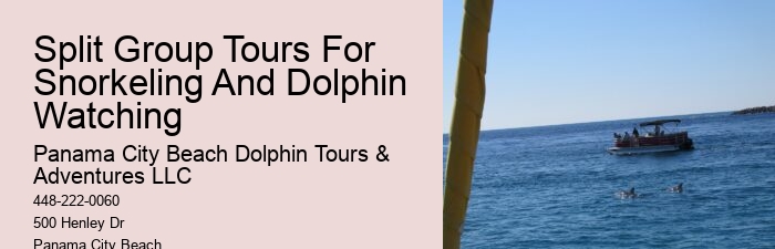 Private Dolphin Tours Panama City Beach