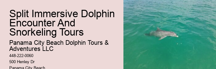 How Long Is The Dolphin Swim Experience And What Is The Age