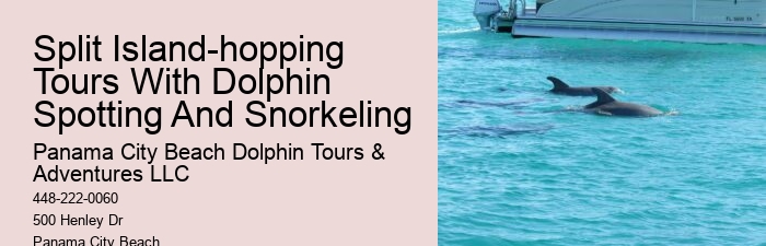 Do You Need Water Shoes For Dolphin Encounter