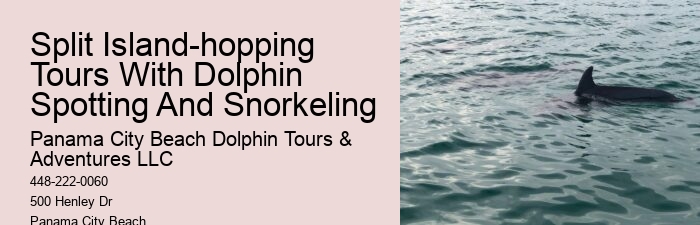 Split Underwater Photography Tours With Dolphin And Snorkeling