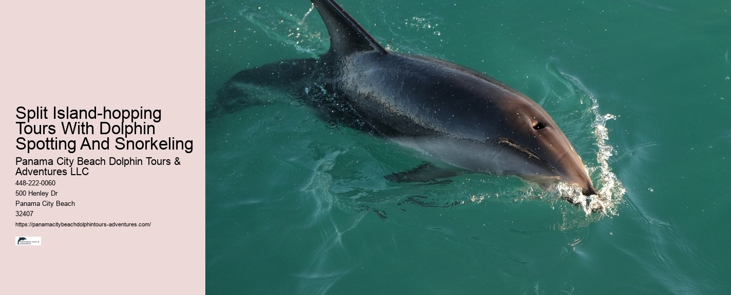 Are Dolphins At Panama City Beach