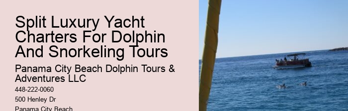 Personalized Dolphin Watching and Snorkeling Trips