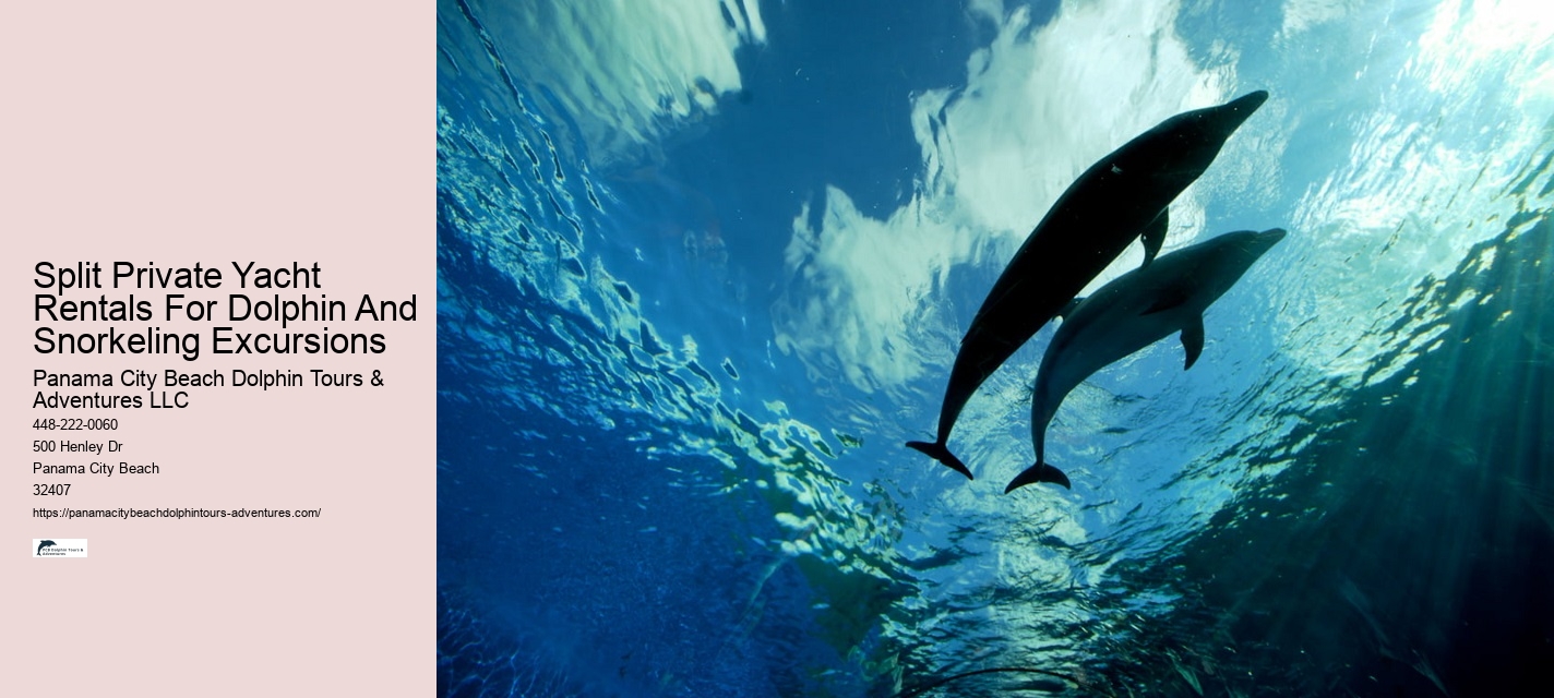 What Is A Female Dolphin Called