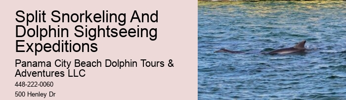 Panama City Beach dolphin excursion trips