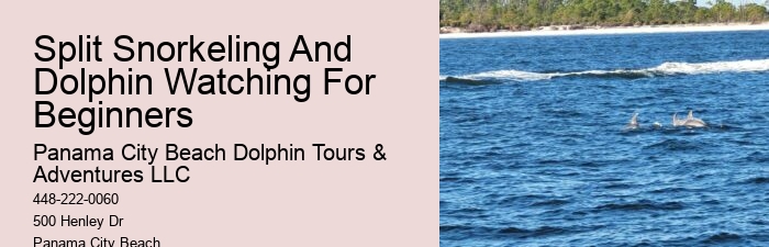 Dolphins Have Highly Sensitive Skin