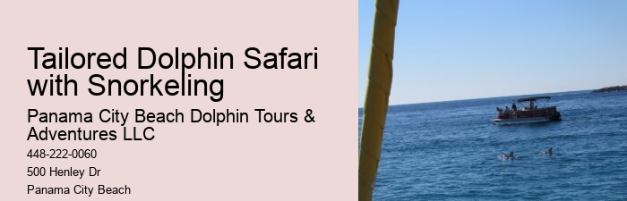 Split All-inclusive Dolphin And Snorkeling Vacations
