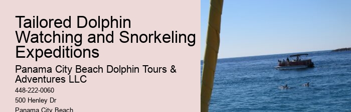 Elite Dolphin Interaction and Snorkeling Tours