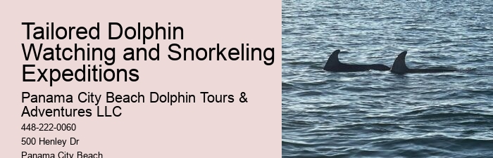 Private 2 Hour Dolphin And Snorkeling Tour