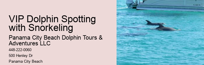 Dolphin Tour And Snorkeling Near Me