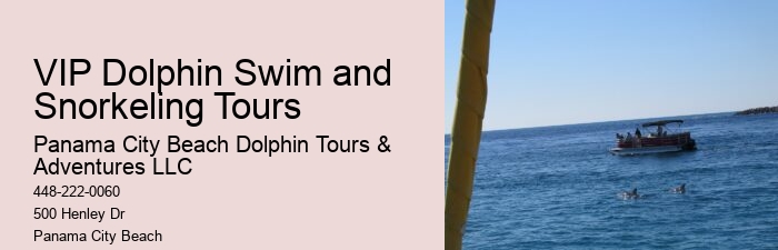 VIP Dolphin Encounter with Snorkeling